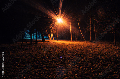 Lonely glowing lantern in the park at night