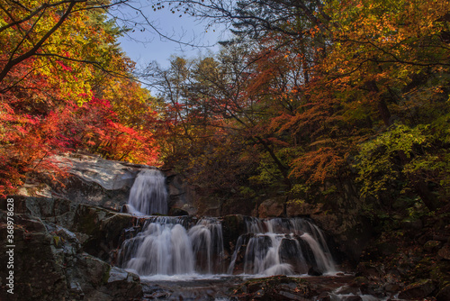 Fototapeta Naklejka Na Ścianę i Meble -  Beautiful autumn waterfall,red and yellow colorful tree leaves with stream of mountain.

C