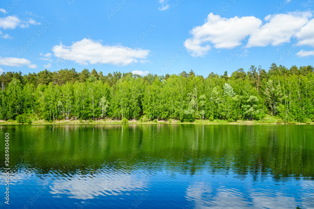 Summer forest, reflecting in waters of lake or river. Corner of virgin nature, untouched by human activity Summer forest, reflecting in waters of lake or river. Corner of virgin nature, untouched by human activity