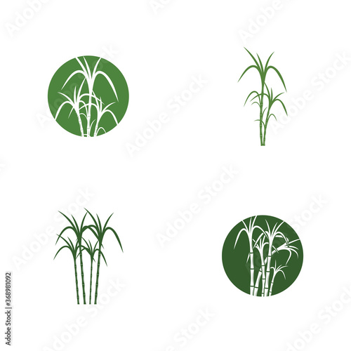 Sugar cane Logo Template vector symbol