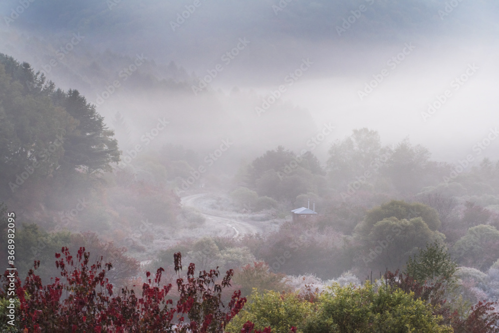 Beautiful misty morning dream valley mountain autumn fogy and clouds. Beautiful misty morning dream valley mountain autumn fogy and clouds.