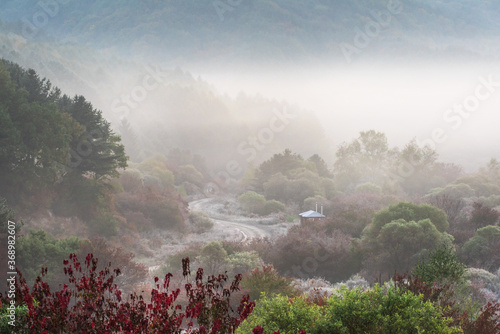 Beautiful misty morning dream valley mountain autumn fogy and clouds. © Chongbum Thomas Park