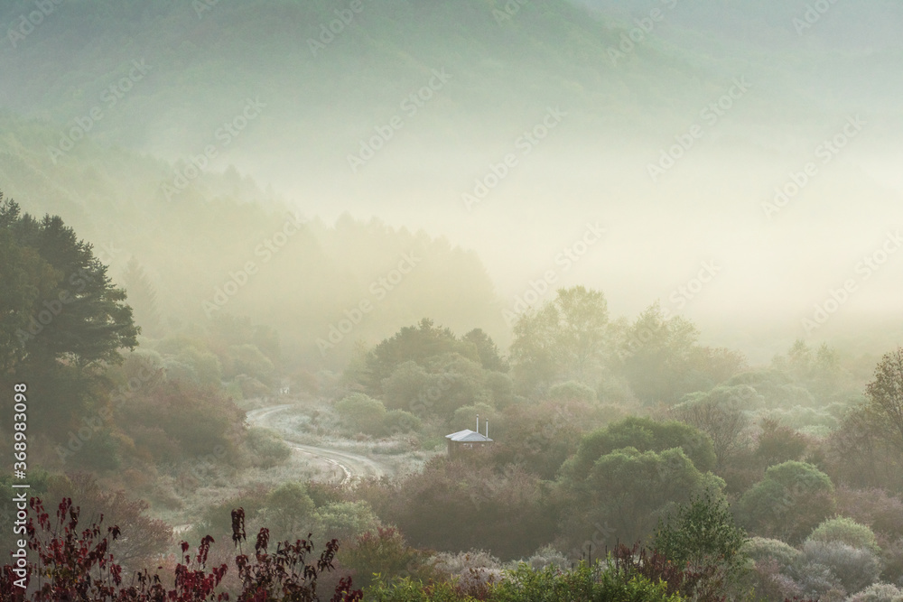 Obraz premium Beautiful misty morning dream valley mountain autumn fogy and clouds.