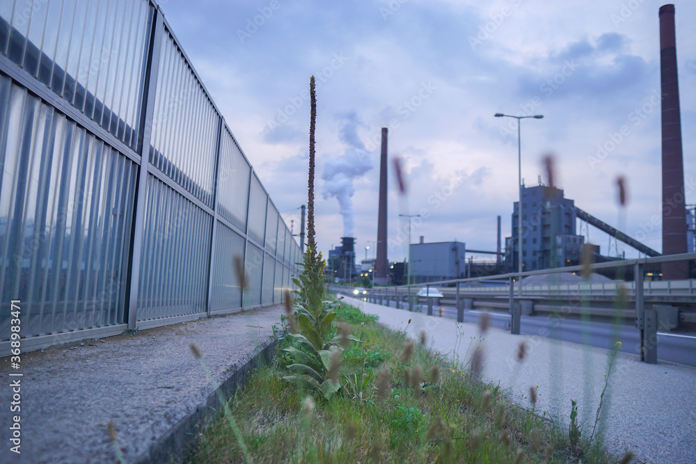 Fototapeta premium Pflanze neben Industriepark