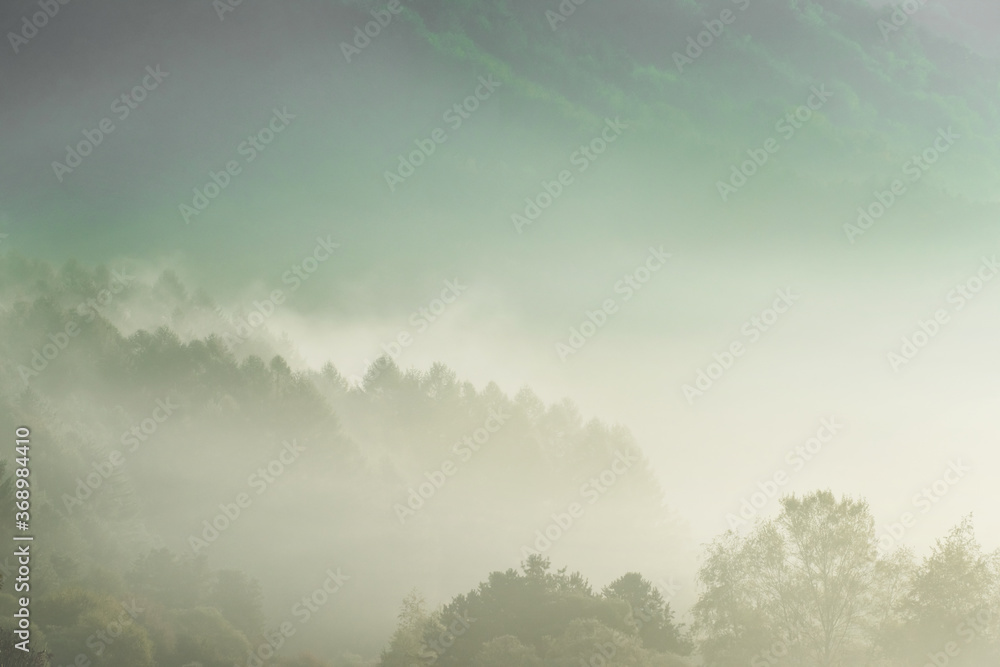 Fototapeta premium Beautiful misty morning dream valley mountain autumn fogy and clouds.