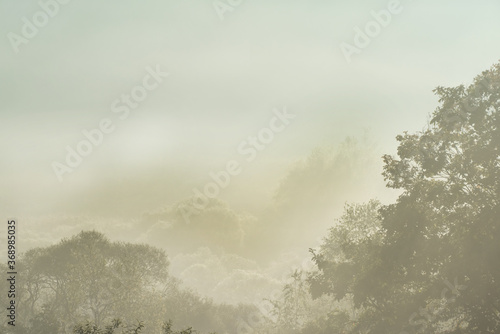 Beautiful misty morning dream valley mountain autumn fogy and clouds.