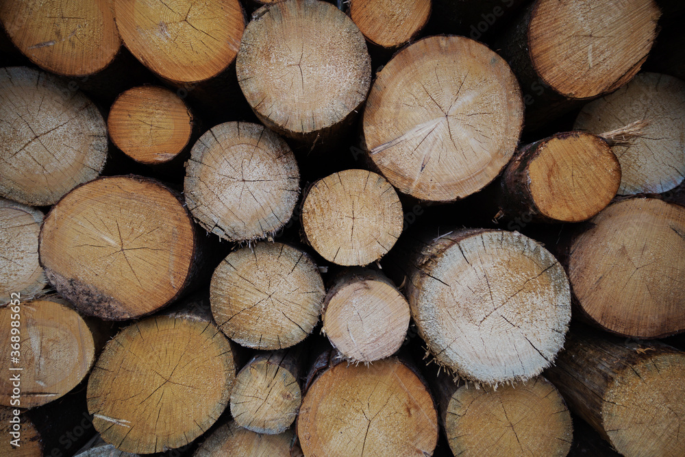 stack of firewood Piled stack of chopped firewood outdoors on bright sunny day stack of firewood Piled stack of chopped firewood outdoors on bright sunny day