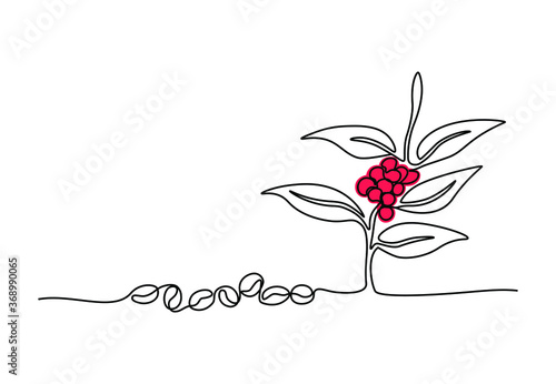 One line drawing of coffee beans and leaves for plantation logo identity. Coffee leaf icon, cafe shop concept. Modern minimalistic poster, vector illustration