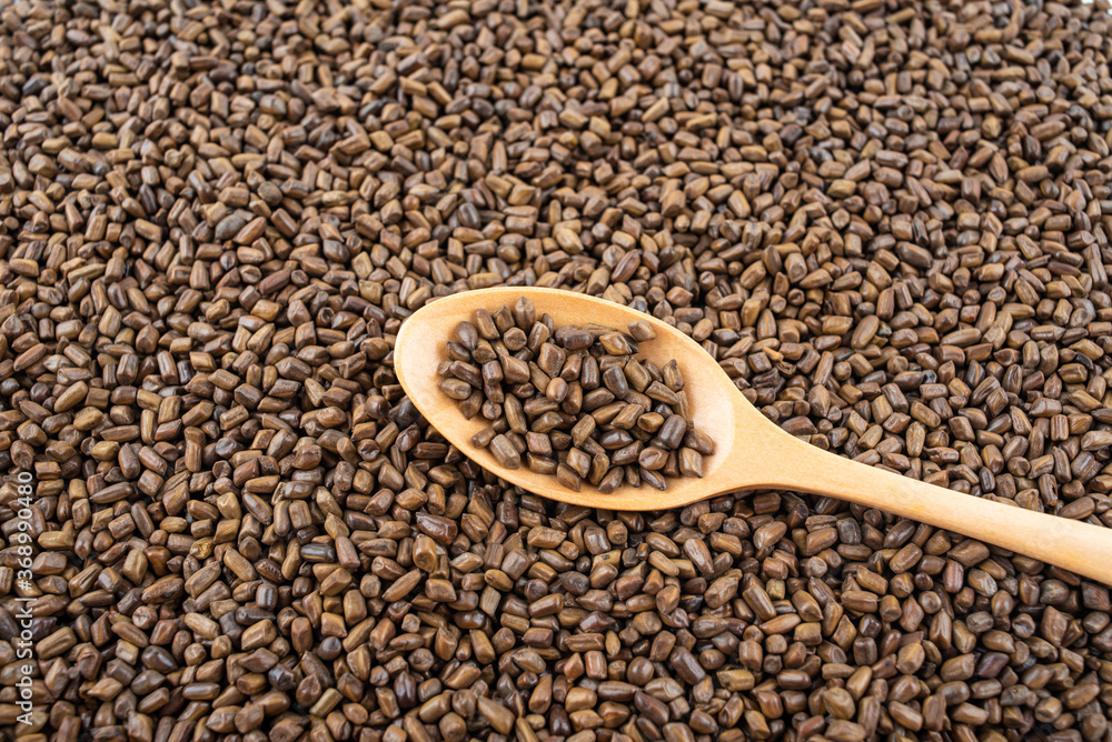 Traditional Chinese Medicine, Cassia Seed Tea Traditional Chinese Medicine, Cassia Seed Tea