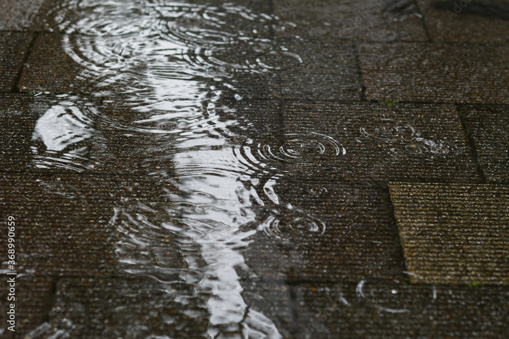 Obraz premium 波紋