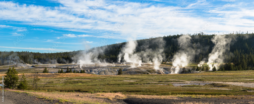 Steaming Geysers in the Upper geyser basin, Old Faithful area, Yellowstone National Park, Wyoming, USA
