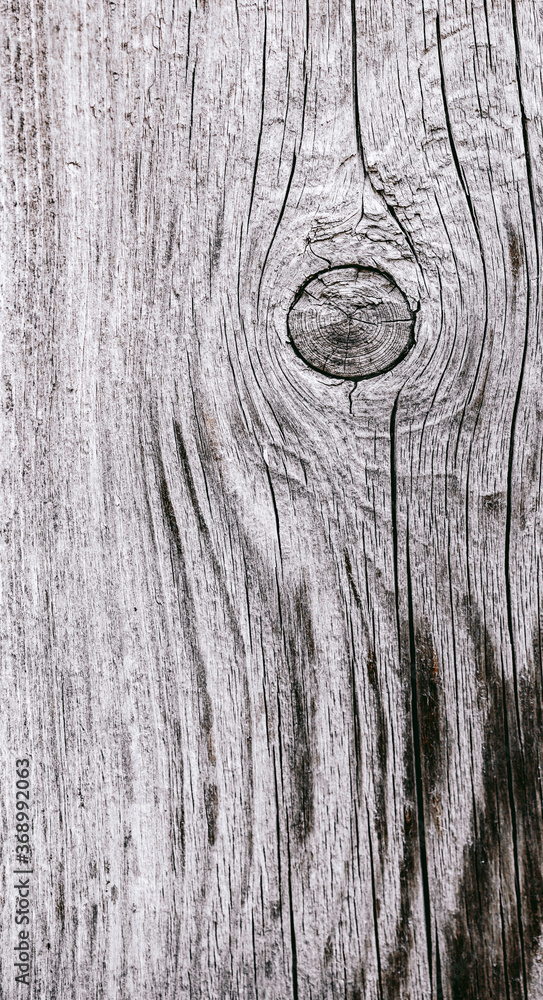 old wood texture closeup