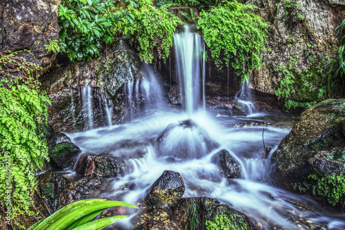 Brisbane botanical gardens waterfall 