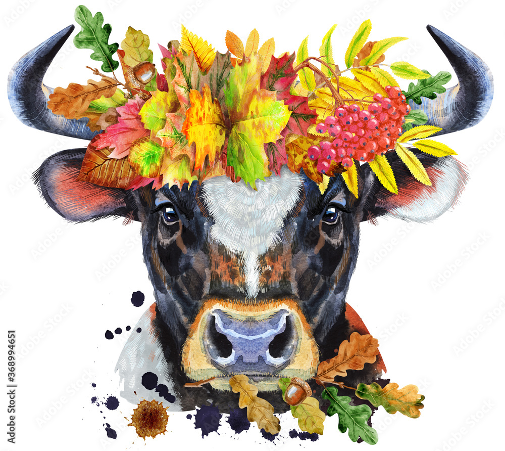 Plakat Watercolor illustration of black bull with white spot in a wreath of autumn leaves