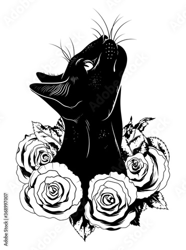 Black cat in roses