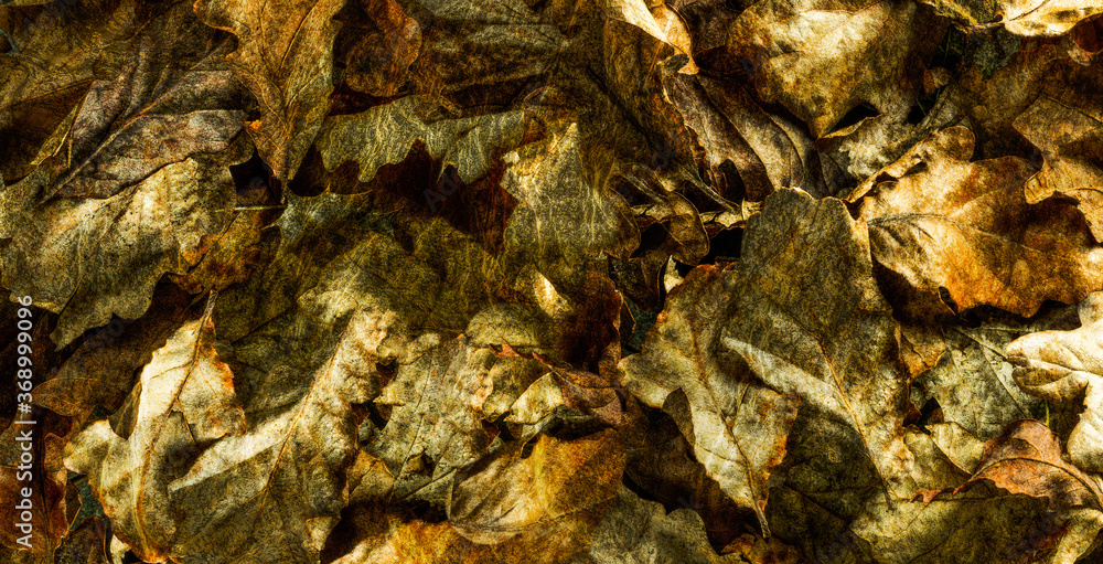 Rustic Autumn Leaves backround - 34 Rustic Autumn Leaves backround - 34