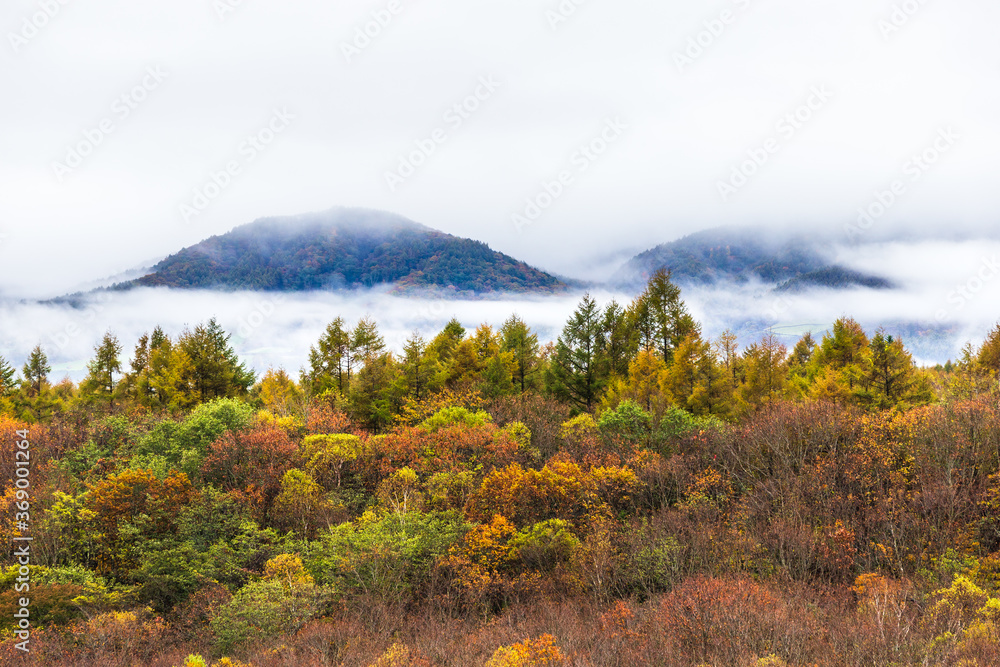 Fototapeta premium 長野と山梨に跨がる八ヶ岳、秋の風景・日本