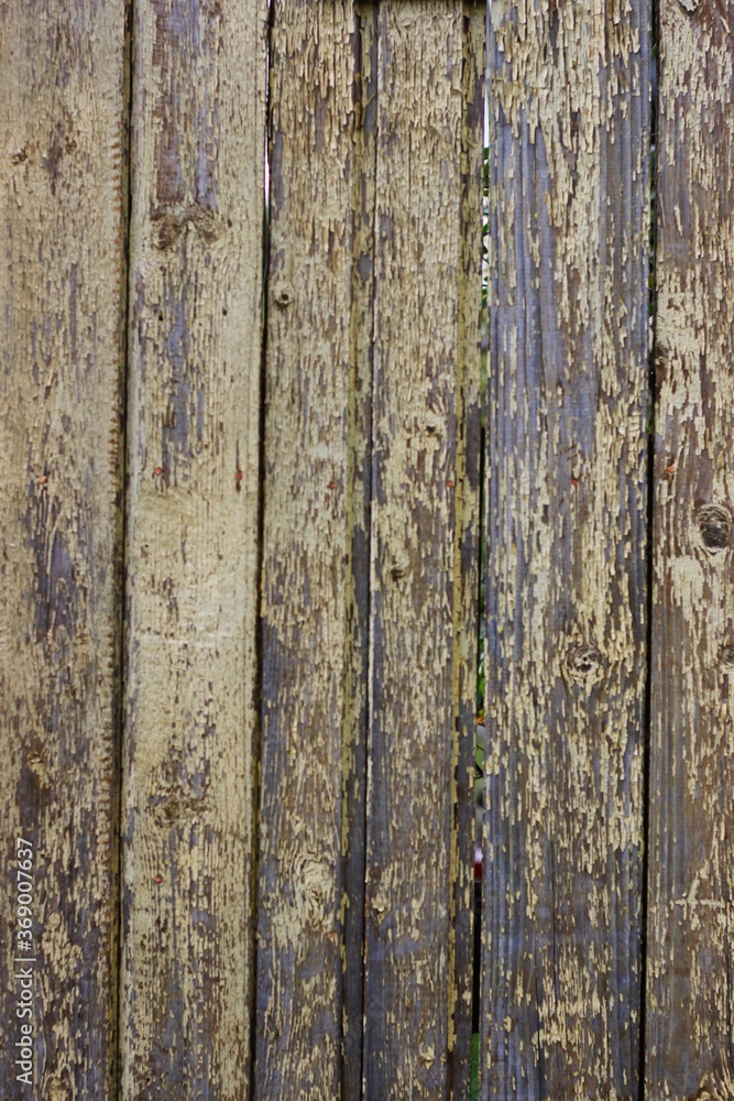 Fototapeta premium old wood texture