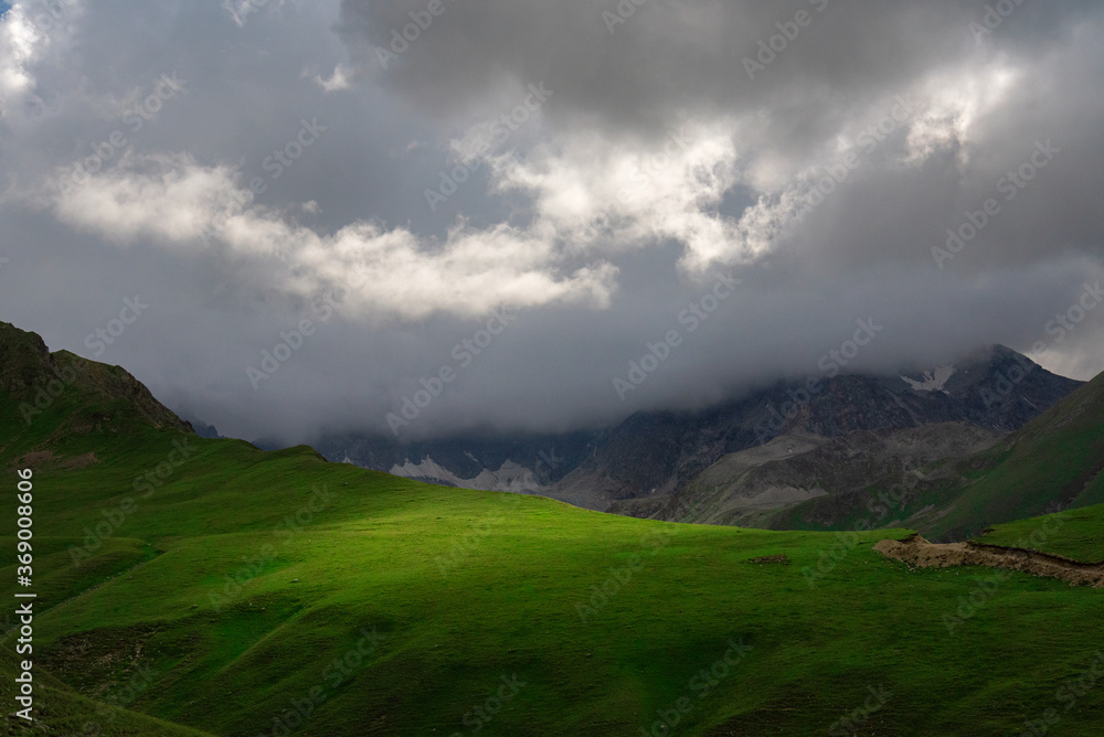Alpine meadow covered with green grass under thick clouds in the Teberda Nature Reserve