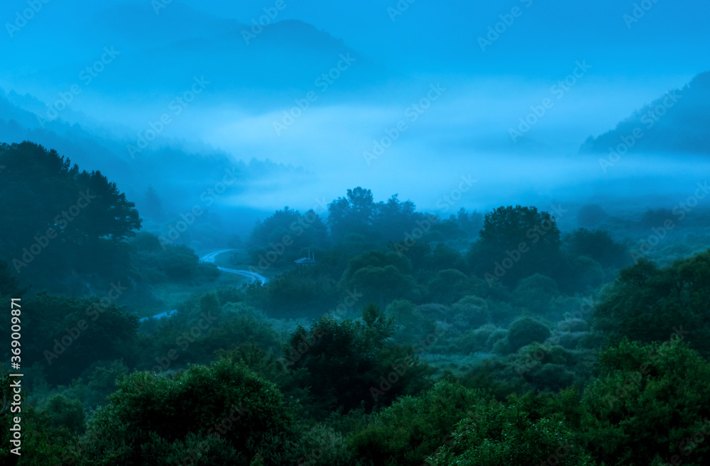 The wonderful and beautiful secret garden,the wave of misty sea float in the valley covered with forest at dawn.