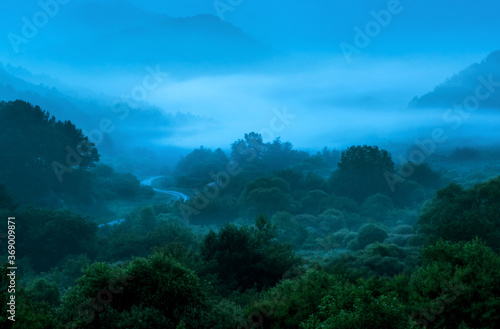 The wonderful and beautiful secret garden,the wave of misty sea float in the valley covered with forest at dawn. © Chongbum Thomas Park