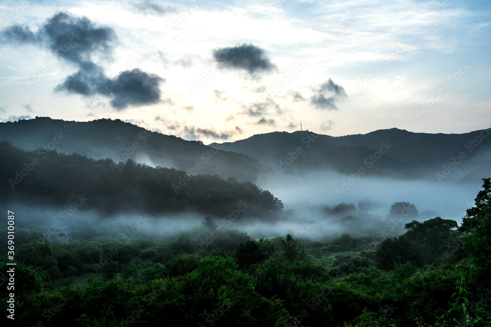 Fototapeta premium The wonderful and beautiful secret garden,the wave of misty sea float in the valley covered with forest at dawn.