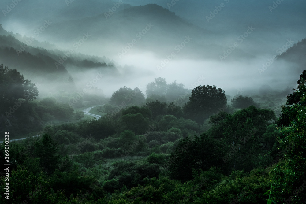 The wonderful and beautiful secret garden,the wave of misty sea float in the valley covered with forest at dawn. The wonderful and beautiful secret garden,the wave of misty sea float in the valley covered with forest at dawn.