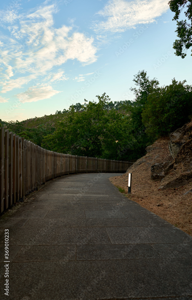 cement road surrounded by greenery with wooden fence
