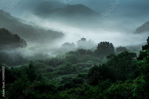 The wonderful and beautiful secret garden,the wave of misty sea float in the valley covered with forest at dawn.