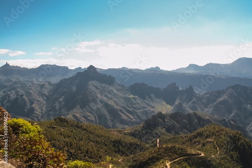 Landscape among the hills in Gran Canaria Island with rocks, bushes, different type of flowers, trees and cloudy sky mixed with intense blue color