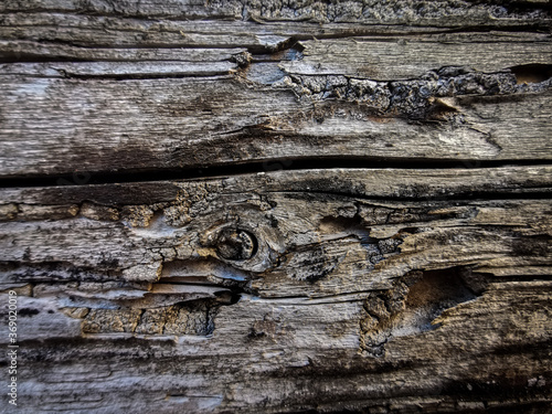 old wood background
