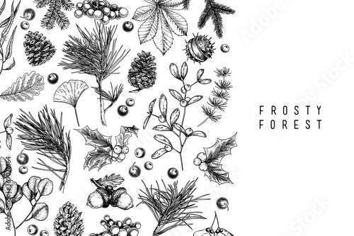 Hand drawn detailed Christmas banner. Vector forest pine, cone, mistletoe, holly, accorn, berries. Xmas, New Year minimalist design. Holiady sale, advertisement, shop promotion, brand merchandising.
