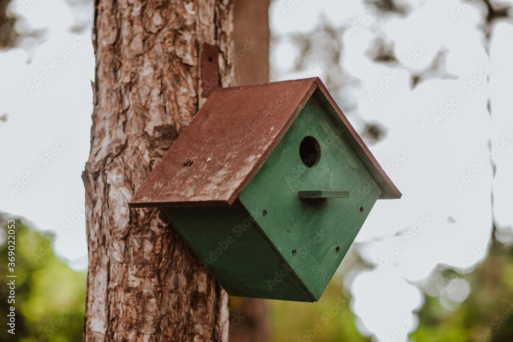 Wooden birdhouse is on the tree. Copy space. Wooden birdhouse is on the tree. Copy space.
