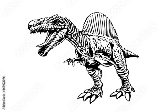 Vector spinosaurus isolated on white, graphical lizard