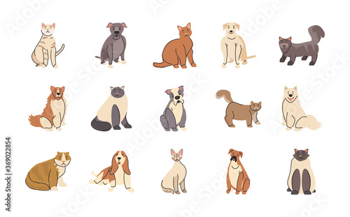 set of pets, different breeds of dogs and cats