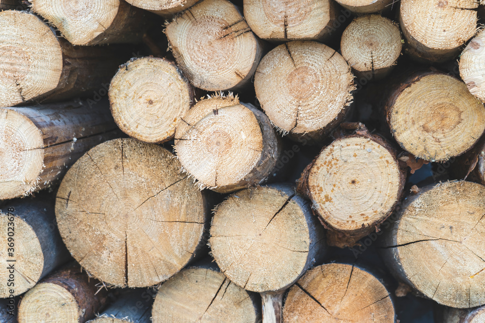tree slices background image selective focusing, tree trunk Slices with annual rings and cracks on a black texture background.