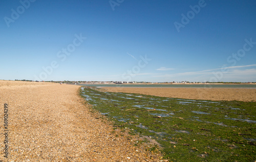 Beach landscape at Mersea Island  Essex  England