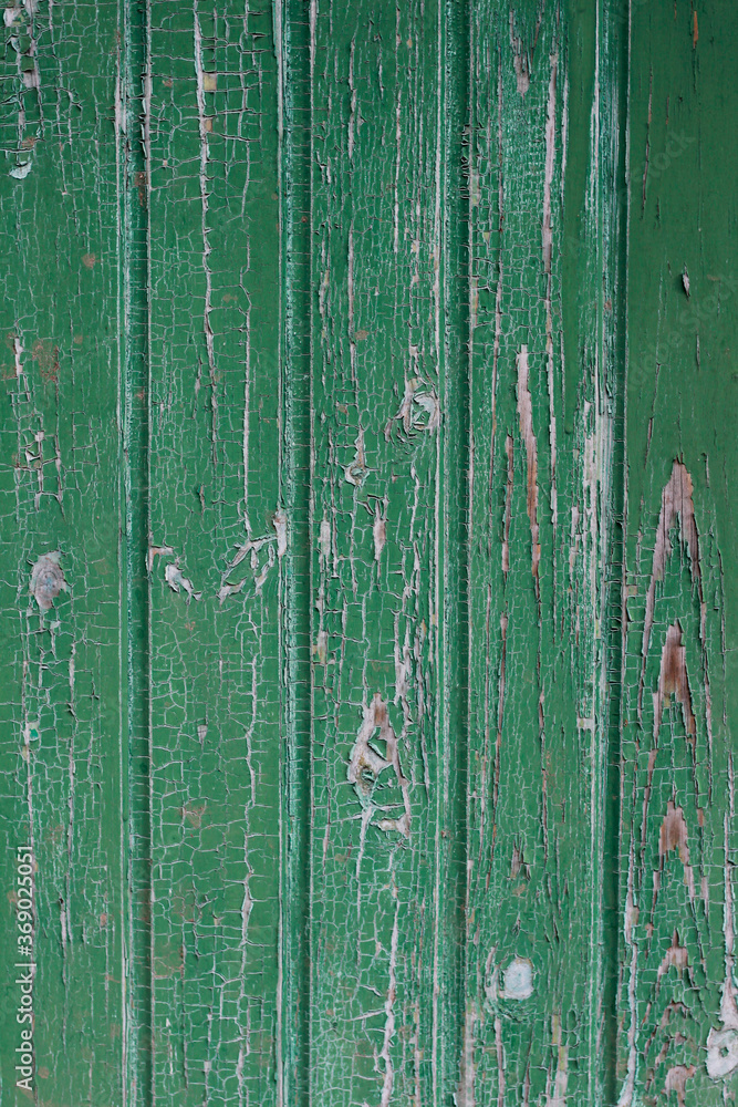 green wood texture green wood texture