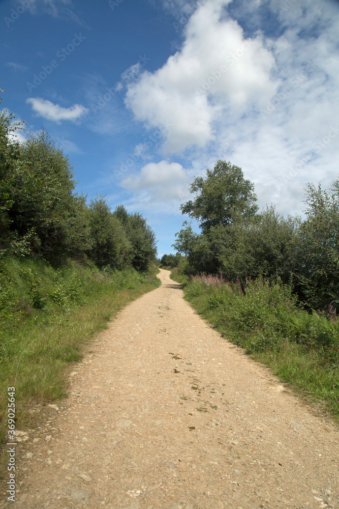 Pathways at a wood in Cornwall Pathways at a wood in Cornwall