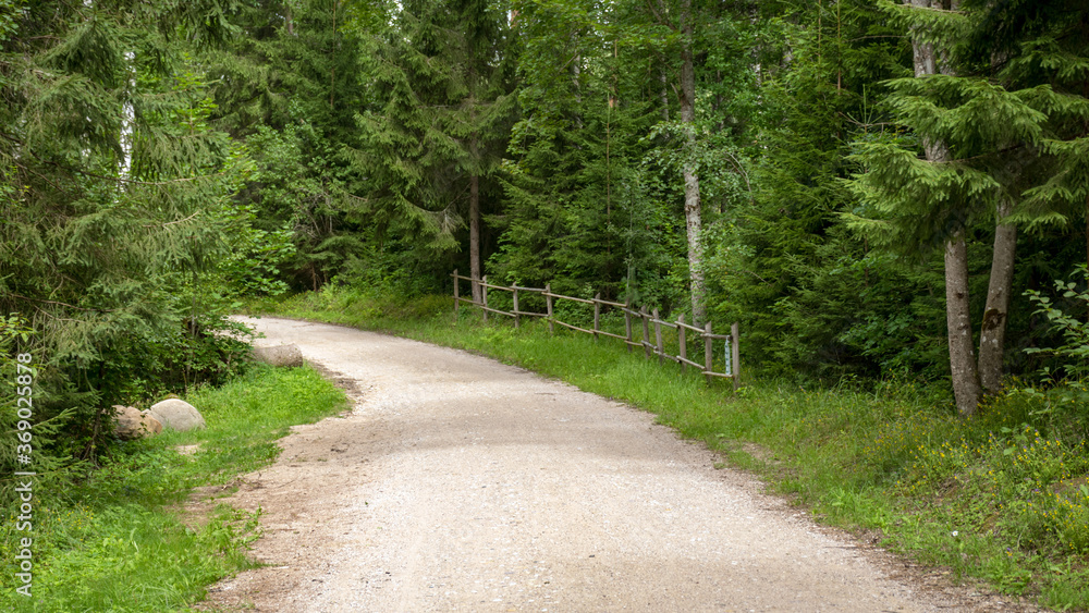 Fototapeta premium landscape with a simple country road and a wooden fence along the edge, summer