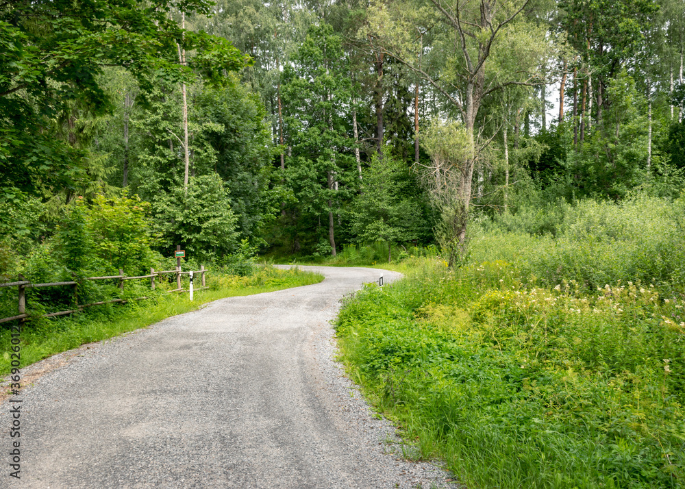 landscape with a simple country road and a wooden fence along the edge, summer landscape with a simple country road and a wooden fence along the edge, summer