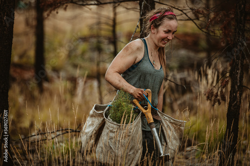 Female forest ranger planting new trees photo