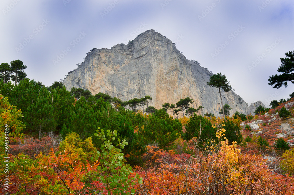 Beautiful autumn landscape with views of the forest, mountains and clouds.Mountain Shaan-kaya, the city of Alupka, Crimea.For cards, calendars, design.
