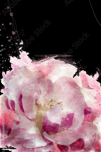 Fototapeta Naklejka Na Ścianę i Meble -  Pink Rose Digital Illustration. Floral Painting background. Soft color watercolor on black background for wallpaper, cards, invitation or fabric.