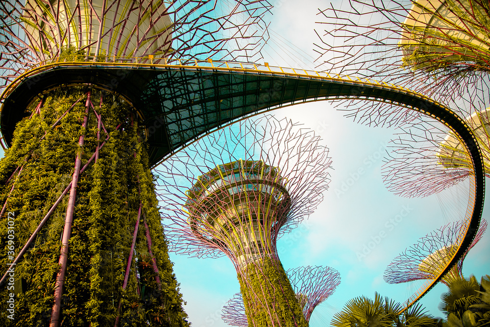 Gardens by the Bay in Singapore.