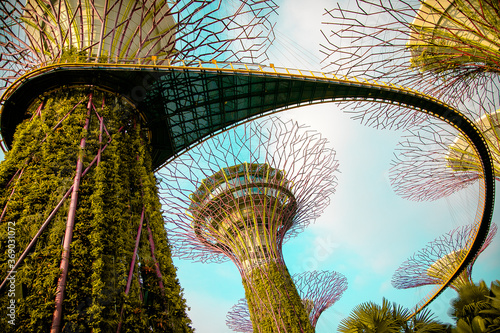 Obraz na płótnie Gardens by the Bay in Singapore. w salonie