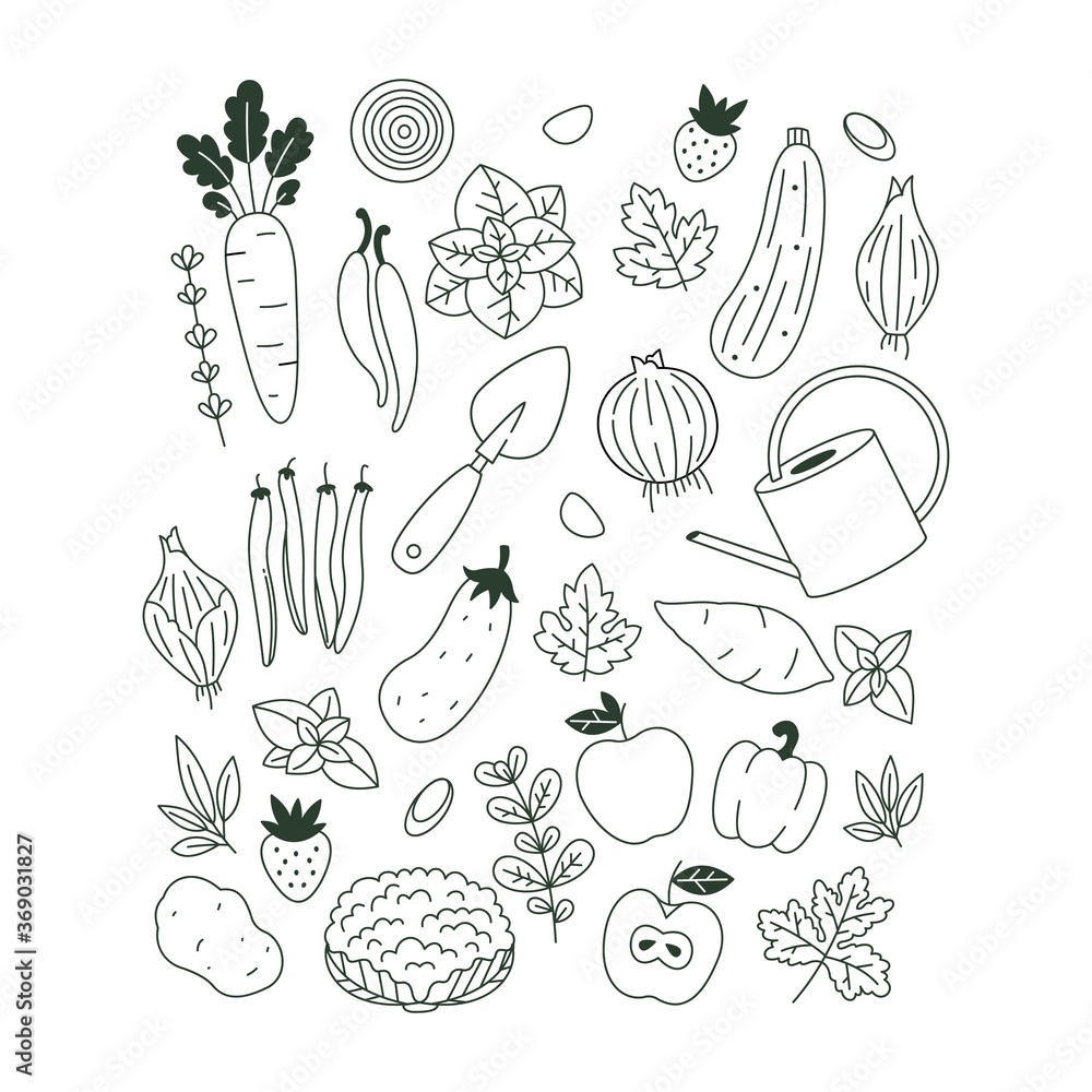 Collection of minimalist plants and vegetable illustrations. Organic fresh collection. Scandinavian style. Vector illustration