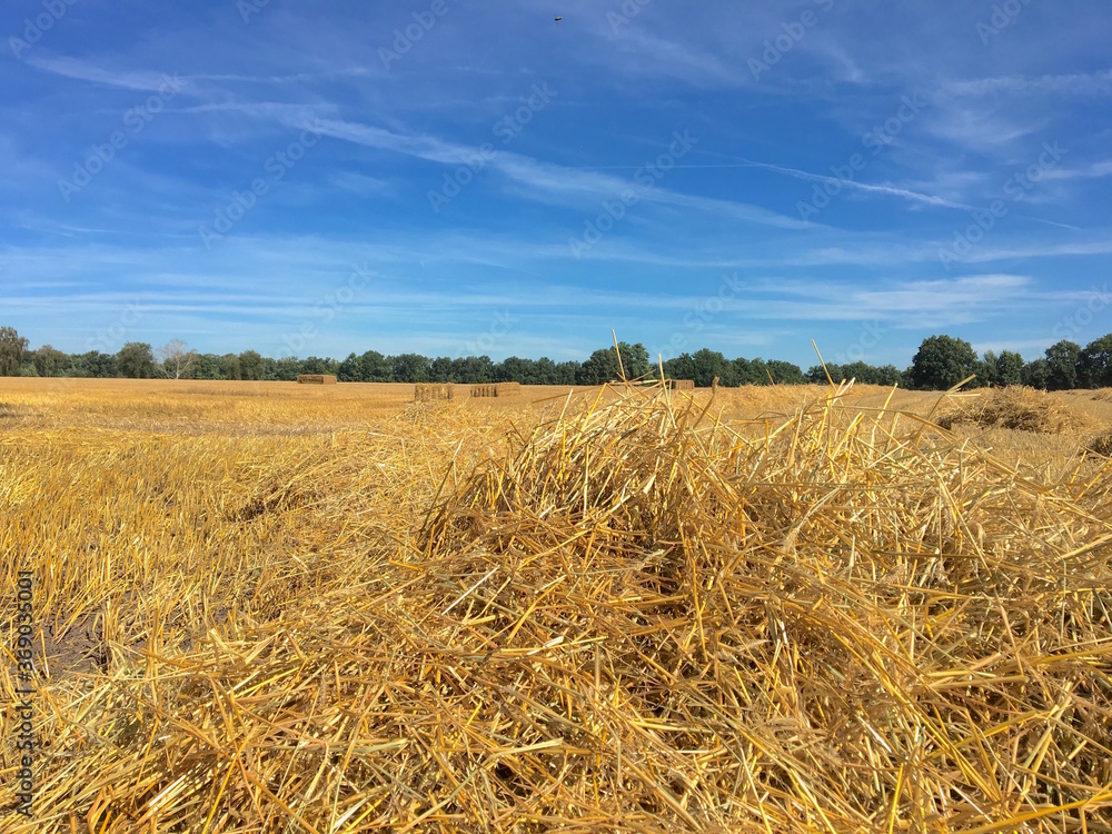 Loses Stroh und gepresste Strohquader auf einem abgeernteten Kornfeld, Getreidefeld im Sommer