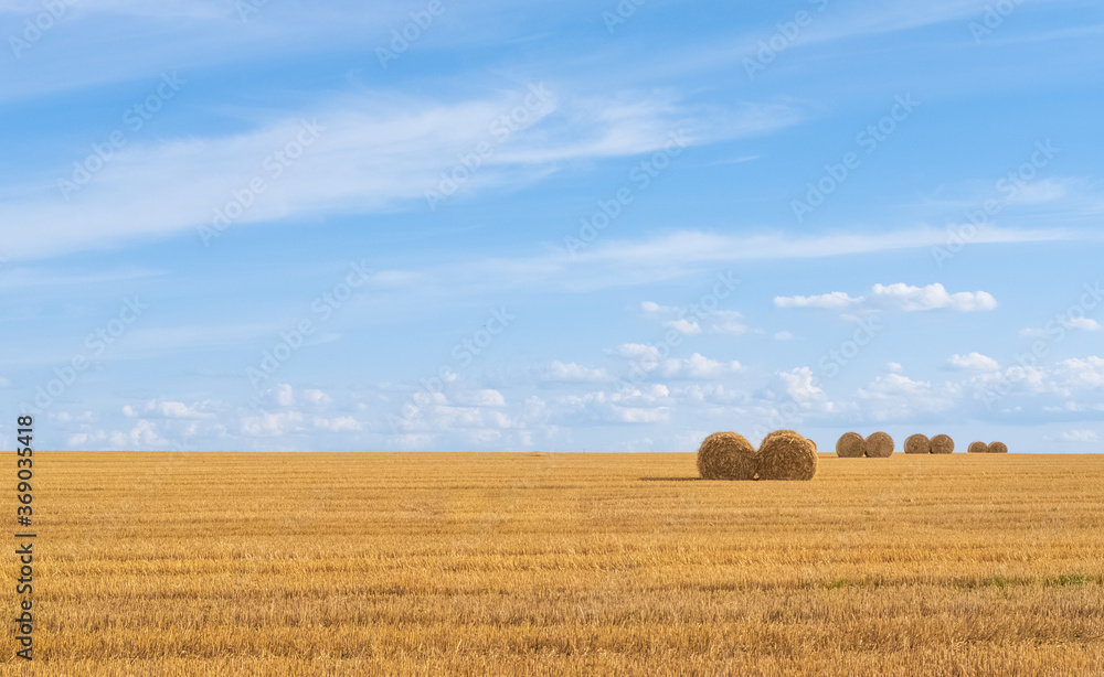 Haystacks at a field. Rural landscape against the blue sky. Hay bales and field stubble. Rhythmic photography