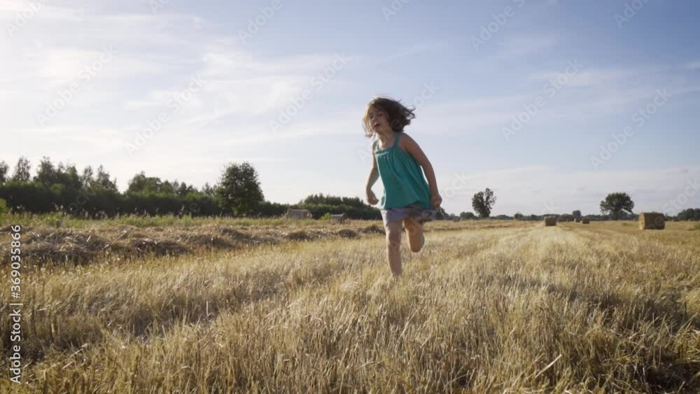 cute girl runs across the mown rye field cute girl runs across the mown rye field